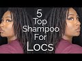 5 Best Shampoos For Locs