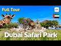 Dubai safari park shows attractions  more spectacular zoo tour  tourist attraction 4k 