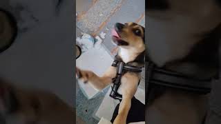 Dana (ent. Armina) kotihoidossa 11/2025 (4)