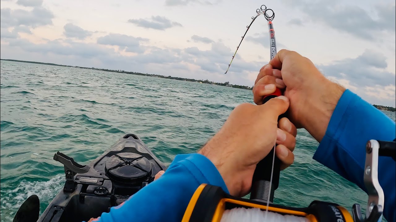 Hammerhead Shark vs. Kayaker Florida Keys Fishing YouTube