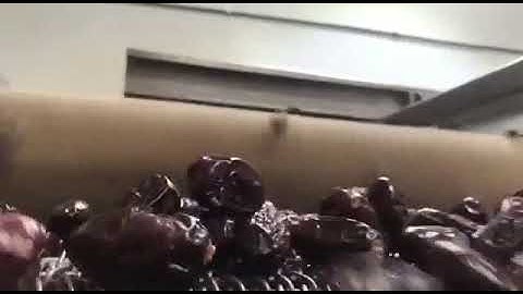 Date palm dry cleaning machine