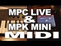 MPC LIVE and MPK MINI ....connecting MIDI