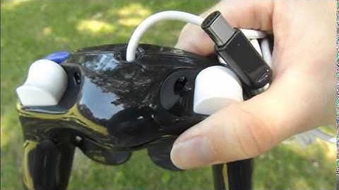 Custom Gate of Time Grayscale Gamecube Controller