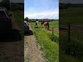 Mai 2018 - Koppel- und Trainingsspaß - Teil 3 von 3 Mai 2018 - Koppel- und Trainingsspaß - Teil 3 von 3