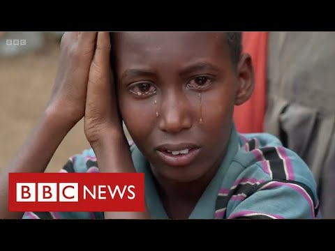 Somalia on brink of catastrophic famine after worst drought in decades - BBC News