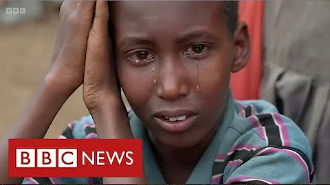 Somalia on brink of catastrophic famine after wors...