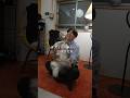 犬と二人暮らし29歳会社員#会社員 #ボーダーコリー #vlog
