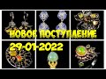 Новое поступление 29-01-2022