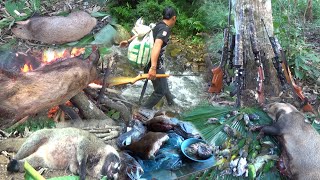 Hunting Hog Badger, Birds and European Badger In The Jungle/Yos hav zoov tua mab tua zaj npua noog