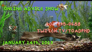 ToadPhd January 24th, 2023 ｜2$ TTS｜ 202 935 0688 ＊ ONLINE ADVICE SHOW ＊ CALL FOR FREE HELP