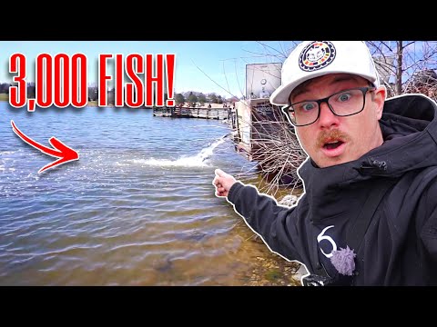 Video: Fish Hangri Bait: Reviews Of Fishermen