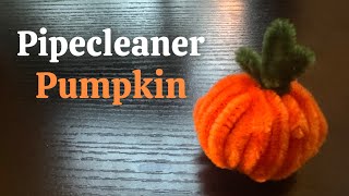 How to make Pipe-cleaner Pumpkin!! (Fall Series)