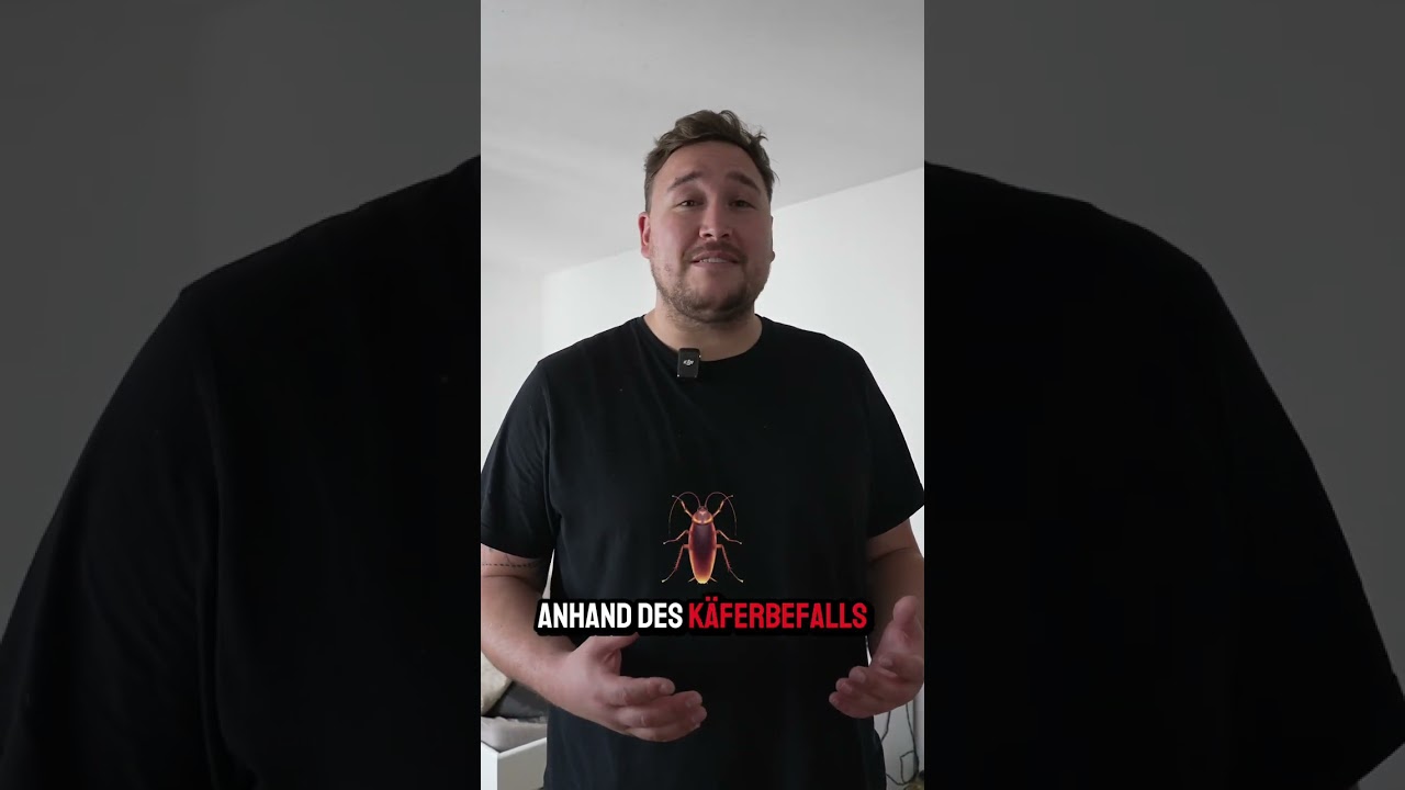 Leichenfund mit Insektenbefall! 😱