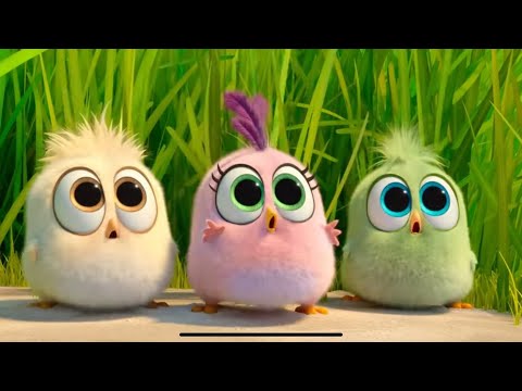Nachas - AH YAY / The Angry Birds ( Official Music Video)