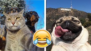 Funny Animals Taking Selfies! by Numan Gürsoy 4,128 views 5 years ago 7 minutes, 45 seconds