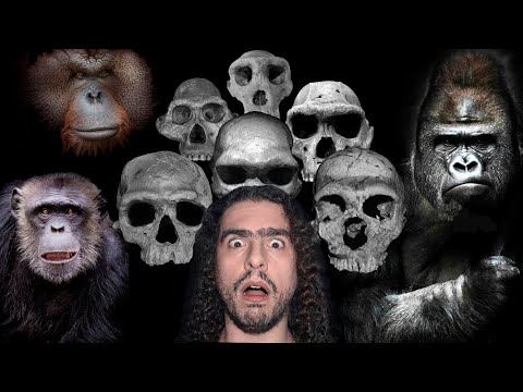 Vídeo: Onde vivem os hominídeos?