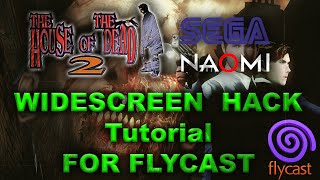 The House of The Dead 2 - SEGA Naomi Widescreen Hack   Gun calibration Tutorial for Flycast