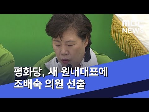 평화당, 새 원내대표에 조배숙 의원 선출  (2019.08.19/5MBC뉴스)