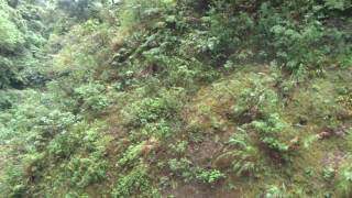 1051008奧萬大飛瀑(2)