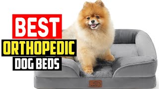 ✅Top 5 Best Orthopedic Dog Beds in 2025