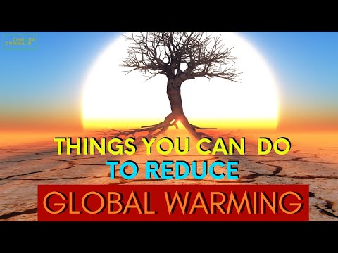 Things You Can Do To Reduce Global Warming