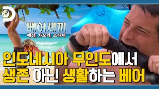 베어세끼 어촌편🌊 😲둘째형 : 형! 세끼만 먹어야지;; 🐻 베어 : 한입만~! 인도네시아 무인도에서 생활하는 베어 그릴스! [Man VS Wild]