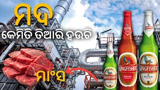 ବିଅର୍ କେମିତି ବନା ହଉଚି! How Beer Made in Factory|