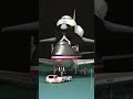 1/400 Dragon Wings NASA Shuttle Carrier Aircraft Boeing 747-100SCA with JC Wings GSE 飛機模型 #Shorts