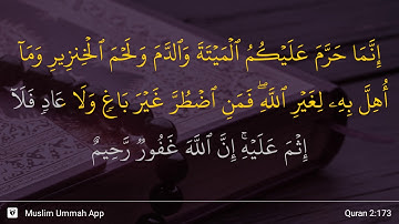 سوره بقره آیه 173