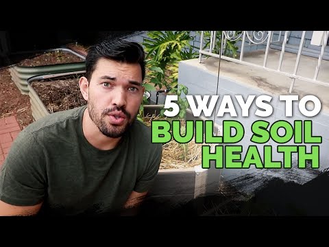 Video: Construirea unui sol sănătos: cum să hrăniți solul pentru grădini durabile