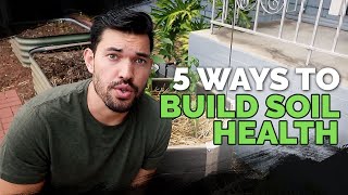 5 Easy Ways To Build Soil Health For FREE 😱 🆓
