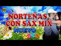 MIX DE NORTEÑAS CON SAX 2020 PARA BAILAR UN BUEN RATO