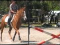 Grand prix dressage rider demonstrates how to show jump
