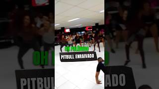 Pitbull Enraivado - Oh polêmico