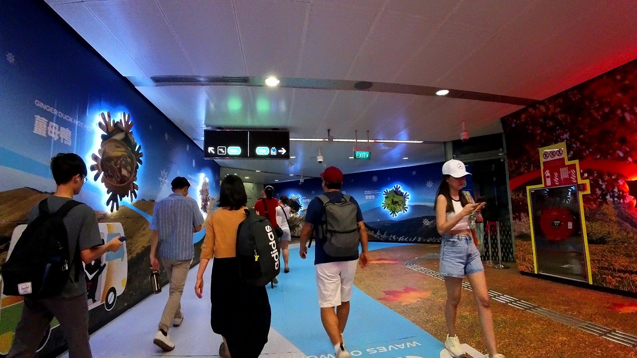 Bugis MRT Station | Paid transfer link walk from DTL Platforms to EWL Platforms | October 2025