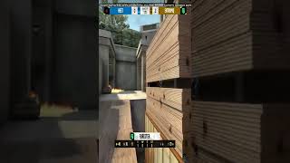 El1an 1vs2 clutch T pre plant situation