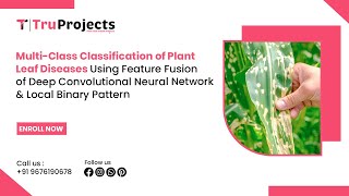 Multi Class Classification of Plant Leaf Diseases Using Feature Fusion of Deep Convolutional Neural