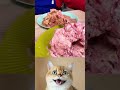 Surprise! 😲 Discover the Mystery of the Ice Cream Hole!