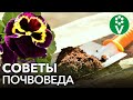 ОТЛИЧНАЯ ПОЧВА ДЛЯ РАССАДЫ! Как самому сделать грунт для рассады томатов, перцев и баклажанов