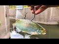I Caught The KINGS of The SPILLWAY!!! (BIGGEST of the YEAR!) + New Species!!