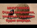 Многомама/Обзор влогов.