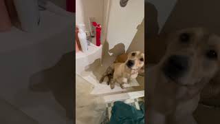 Bath time