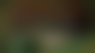 Download Akashic Tome Mod 1.16.4/1.15.2/1.12.2 - How To Install for Minecraft