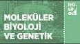 Moleküler Genetik ile ilgili video