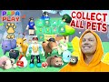 Собери всех питомцев в Collect All Pets!