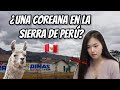 ¿qué hace una COREANA en SIERRA de PERÚ?/Vine a HUANCAYO!/[Vlog]