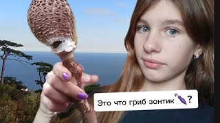 Погуляли По Трапе? Нашли Грибы ?