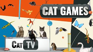 CAT Games | Ultimate Cat TV Compilation Vol 19 | 2 HOURS