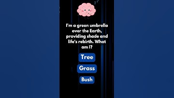 Funny Riddles!  #brainteaser #quiz #riddleaddict