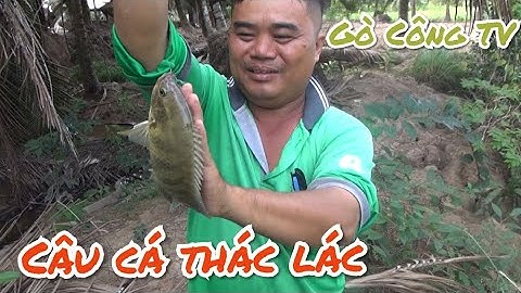 Câu Cá Thác Lác Cùng Với Các Cần Thủ Quận 8 & Bình Chánh TP HCM (Tập 28)